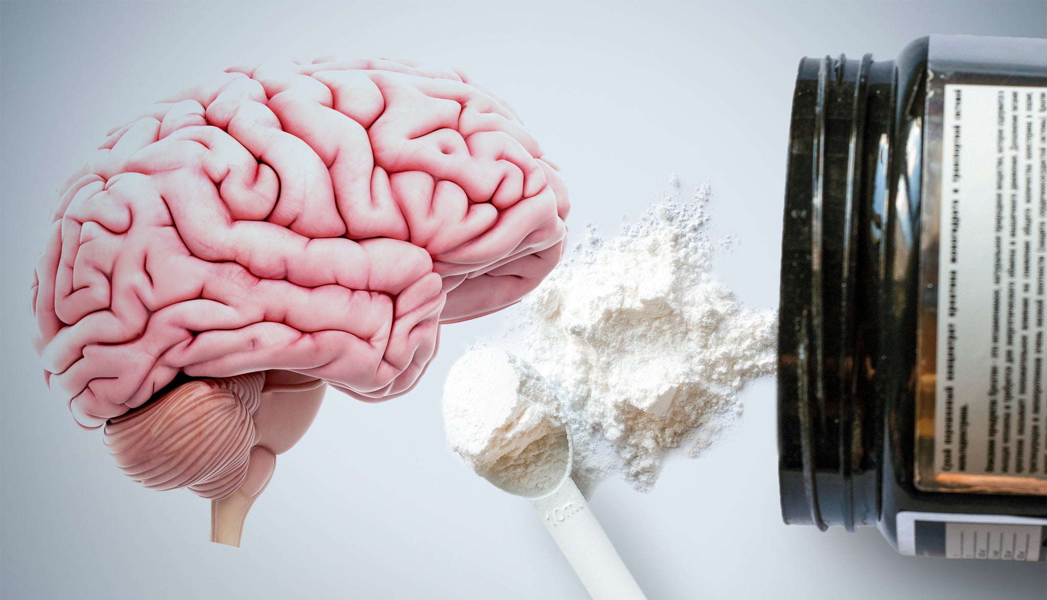 Creatine and Your Brain – What’s The Relationship?