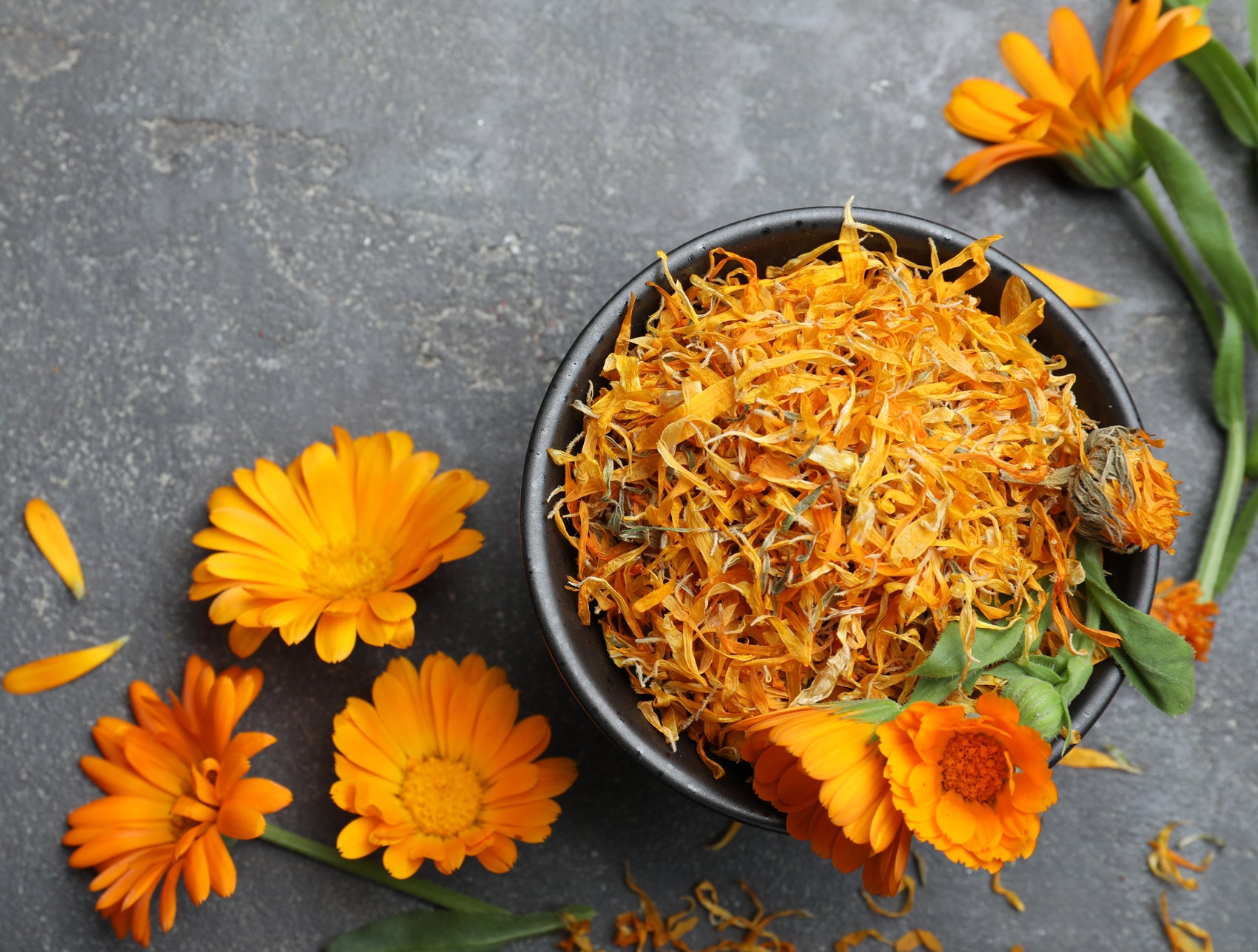 Exploring the Benefits of Marigold – Life Sprout Bioceuticals