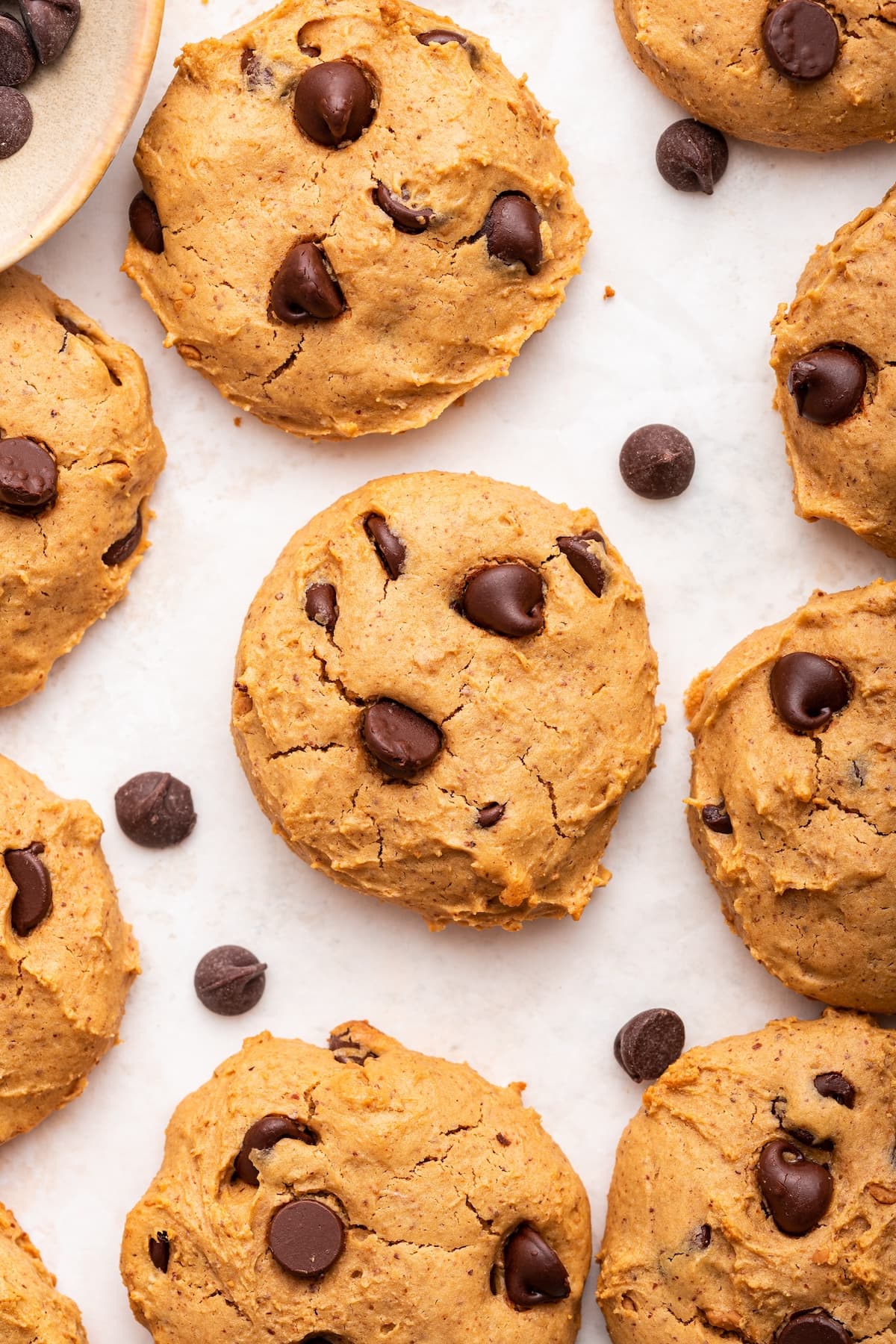 The BEST Protein Cookies – Eating Bird Food